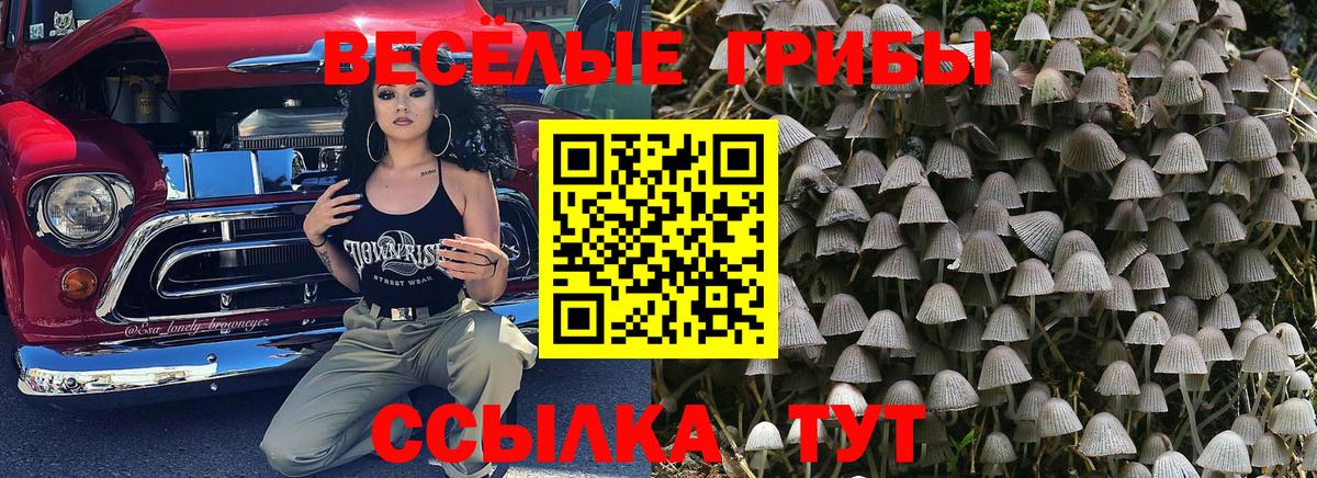 Псилоцибиновые грибы ЛСД Феодосия